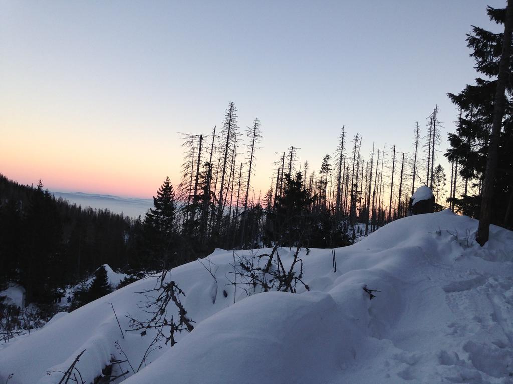 Studio A105 Stary Smokovec Hrebienok Vysoké Tatry 外观 照片