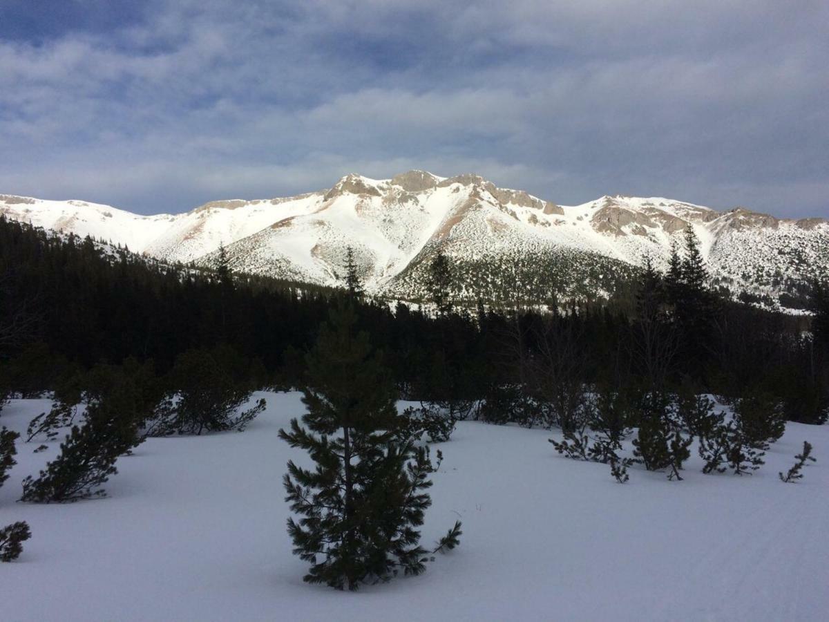Studio A105 Stary Smokovec Hrebienok Vysoké Tatry 外观 照片